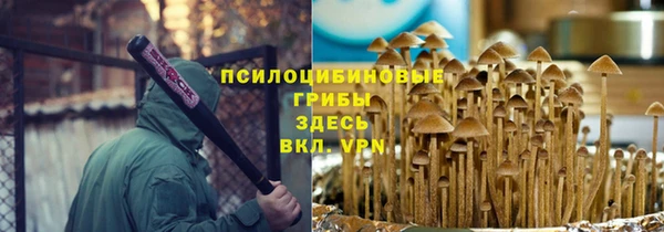 сатива Богородск