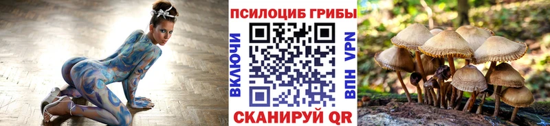 маркетплейс Telegram  Оха  Галлюциногенные грибы прущие грибы 