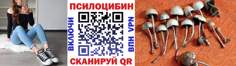 Галлюциногенные грибы Cubensis Оха